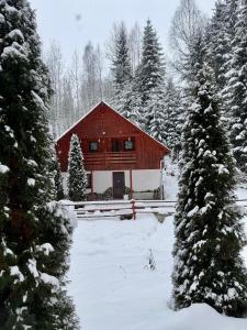 a red cabin in the snow with snow covered trees at Cabana SVA Bilbor in Bilbor