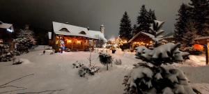 a house covered in snow at night with lights at Tylickie Chałupy in Tylicz
