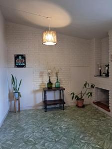 a room with a fireplace and a table with plants at Chalet Ferrari in Mina Clavero