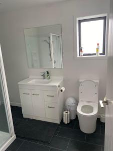 a bathroom with a toilet and a sink and a window at Pukutahi Palms in Te Anau