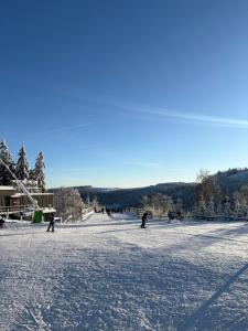 a group of people skiing on a snow covered slope at Ferienwohnung Relax - mit Whirlpool & Sauna in Medebach