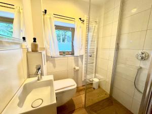 a bathroom with a toilet and a glass shower at Ferienhaus "Bodenschneid" am Schliersee in Schliersee
