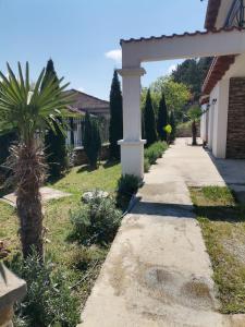 a garden with a palm tree and a sidewalk at vila matejevic in Star Dojran