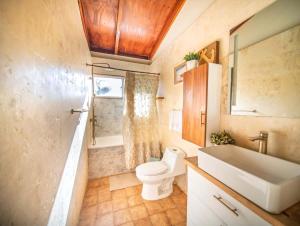 a bathroom with a toilet and a tub and a sink at Colonial 2BR Apartment 2 mins walk to beach in Sosúa +6 photos