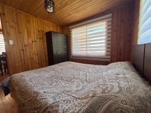 a bedroom with a large bed in a wooden room at Cabañas EcoSur - Chile in Curacautín