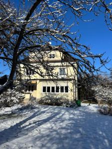 a white house in the snow with a tree at Villa Vilma Antica in Laufen