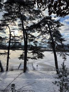 a snow covered beach with trees and a fence at Villa Vilma Antica in Laufen