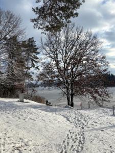a snow covered park with a tree and footprints in the snow at Villa Vilma Antica in Laufen +27 photos