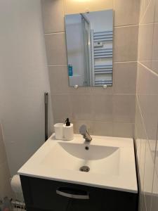 a bathroom with a white sink and a mirror at Studio centre ville in Nevers