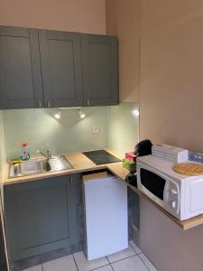 a kitchen with a sink and a microwave on a counter at Studio centre ville in Nevers +3 photos