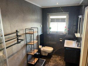 a bathroom with a toilet and a sink and a window at Fichtelrooms in Fichtelberg +10 photos