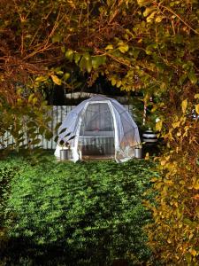 a greenhouse in the grass in a garden at Monte do Bidé Private Farm Peace and Nature in Setúbal