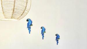 a group of blue birds on a white wall at Pousada Dinhá Chica perto de Tiradentes e Bichinho in São João del Rei