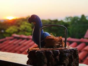 a bird sitting on top of a tree stump at Pousada Dinhá Chica perto de Tiradentes e Bichinho in São João del Rei
