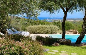 a swimming pool in a garden with a view of the ocean at Pedra Smeralda in Golfo Aranci