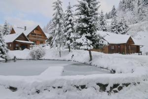 a log cabin in the snow with a pond at Chata nad stawem in Wierchomla Mała