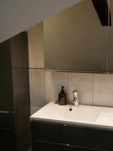 a kitchen with a sink with a blender on it at Le Clocher, nice warm and comfortable nest in Sierentz +17 photos