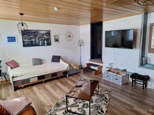 a living room with a bed and a flat screen tv at Ferienwohnung Silchmüller in Zella-Mehlis