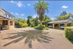 a palm tree in the middle of a driveway at Mountain Sanctuary Retreat in Mount Tamborine