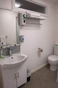 a bathroom with a sink and a toilet and a mirror at The Dannebrog Lodge in Devonport +15 photos