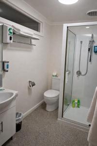 a bathroom with a toilet and a glass shower at The Dannebrog Lodge in Devonport