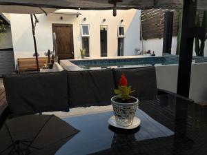 a potted plant sitting on a table next to a pool at Tayka Suite in La Serena