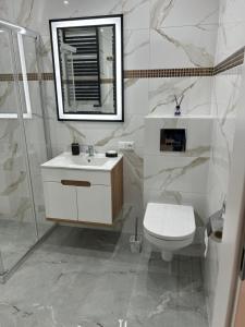a bathroom with a toilet and a sink and a mirror at Apartament Ostrowiec Świętokrzyski Browarna 4 in Ostrowiec Świętokrzyski