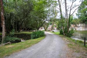 a dirt road in a park with a dog on the side at Carrière de la Tour in Condé-sur-Sarthe +11 photos