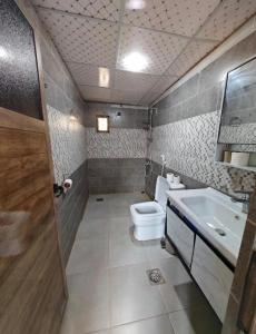 a bathroom with a toilet and a sink at Starlit Wadi Rum camp in Wadi Rum +9 photos