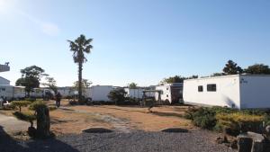 a group of rvs parked next to a palm tree at Seogwipo PyoseonCaravan in Seogwipo