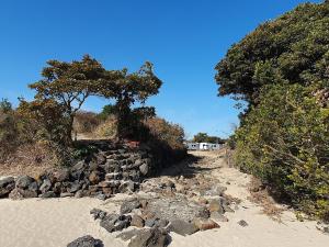 a dirt road with rocks and trees on a beach at Seogwipo PyoseonCaravan in Seogwipo