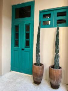 two potted plants sitting in front of a door at T'uut' Hotel in El Cuyo +72 photos