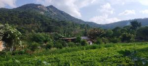 a house in the middle of a mountain at Aalamaram Farm in Anchetti