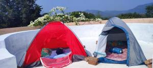 a tent sitting on top of a wall at Aalamaram Farm in Anchetti +3 photos