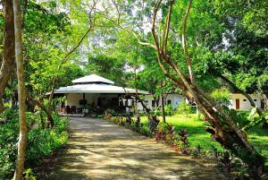 a walkway leading to a building in a park at Magalong Beach Resort in Busuanga