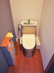 a small bathroom with a toilet and a sink at Uhome Ueno Hotel in Tokyo