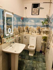 a bathroom with a toilet and a sink at Downtown Lodge in Nuwara Eliya