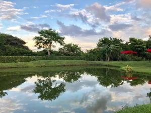 a reflection of the sky in a pond at Yopo Resort in Yopal