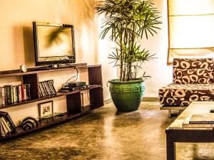 a living room with a plant in a large pot at The Lagoon Villa in Negombo