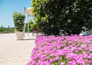 A garden outside Phi Hotel Astoria