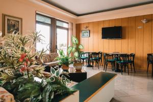 TV a/nebo společenská místnost v ubytování Hotel Nilde