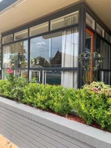 a window of a building with some plants and flowers at Billabong Motel in Gunnedah