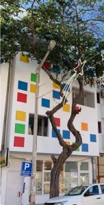a building with a tree in front of it at Central studio Nomad friendly 1B in Mindelo