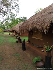 a house with a straw roof with a dog laying in front at Nature Kingdom Sri Lanka in Hambegamuwa