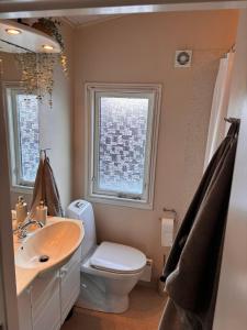 a bathroom with a toilet and a sink and a window at Glentevej idyl in Assens +25 photos