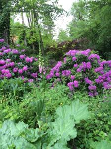 a garden filled with purple flowers and plants at Les Sittelles de Bamboche in Saint-Symphorien-sur-Coise