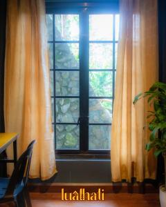 a window with curtains and a table and a plant at Lualhati Homestay in Baguio