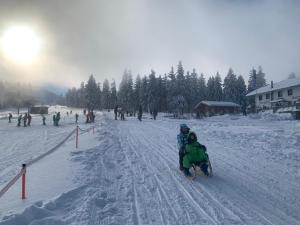 a group of people on a snowboard in the snow at Ferienwohnung in Arrach