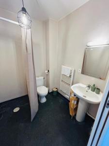 a bathroom with a toilet and a sink at Appartement proche université in Caen +15 photos