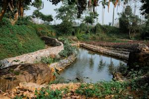 a river with rocks and trees in a field at Bavieco - Nghỉ dưỡng, Dưỡng lão & Chữa bệnh theo Đông y in Ba Vì +16 photos